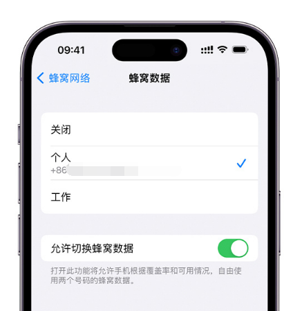 雨山苹果维修服务分享如何在iPhone上使用双卡 